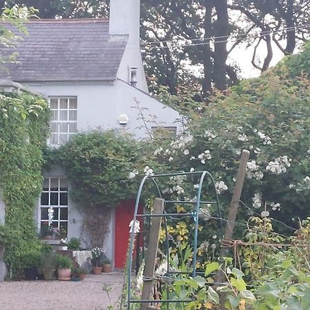 Maison d'hôtes Dromore House Historic Country House à Coleraine Extérieur photo