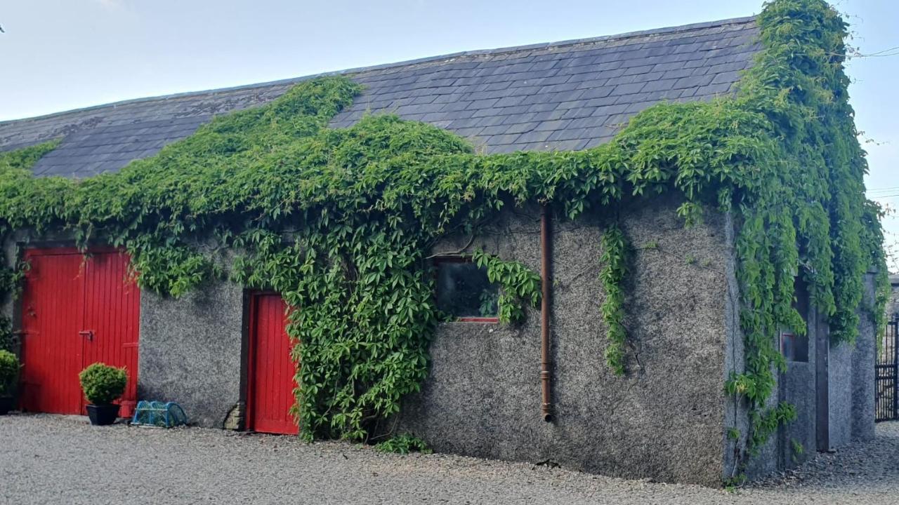 Maison d'hôtes Dromore House Historic Country House à Coleraine Extérieur photo